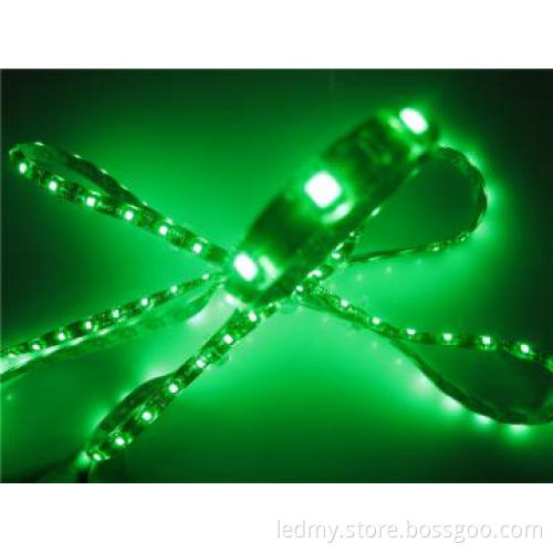 IP67 Sillicone Protection Led String Lights DC12V 60LEDs SMD5050